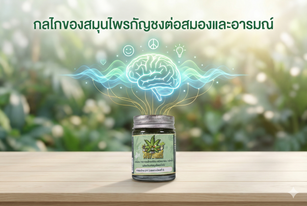 กลไกของสมุนไพรกัญชง