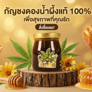 กัญชงดองน้ำผึ้ง สมุนไพรดองน้ำผึ้งจากธรรมชาติ