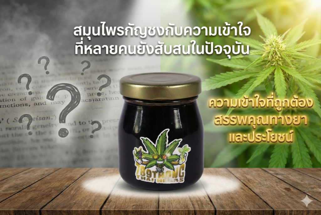 ความเข้าใจผิดของสมุนไพรกัญชง