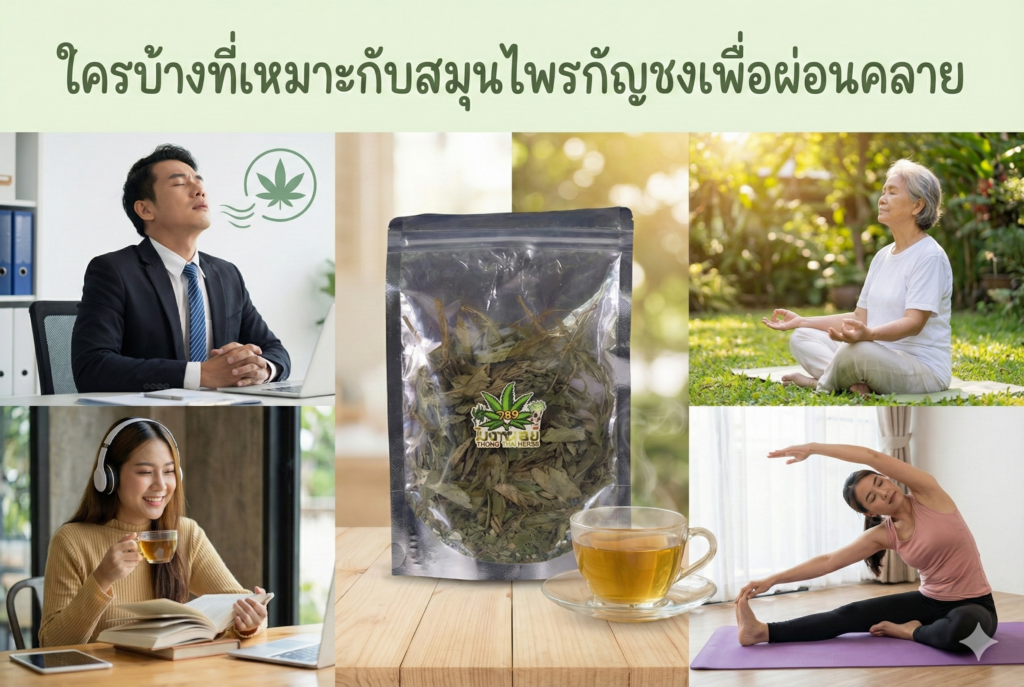 สมุนไพรกัญชงเหมาะกับใคร