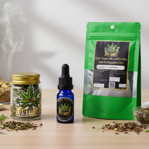 เซ็ตสายทำงานออฟฟิศ